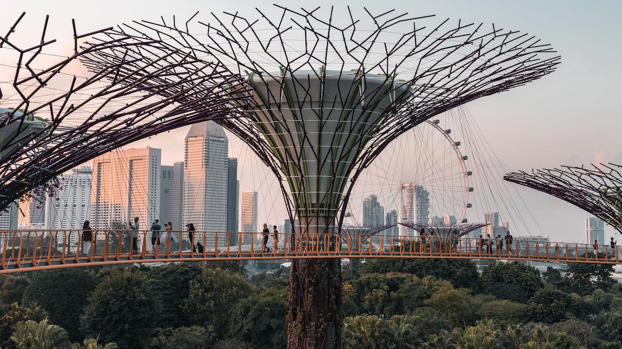 En la fotografía aparecen tres de los súper árboles de Singapur, un atractivo turístico de gran representatividad sobre el país asiático.