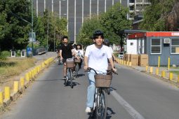 Agronomía y Sistemas Naturales: Postula a curso internacional de verano en la UC