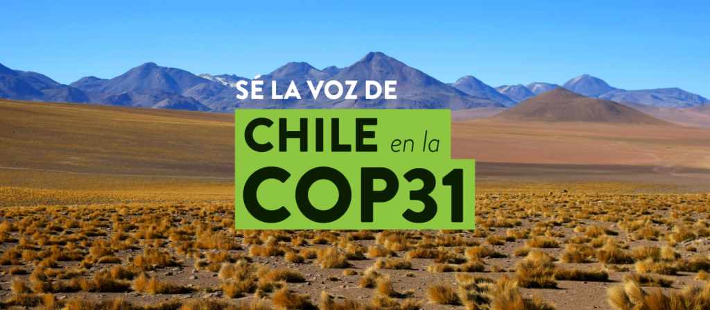 Concurso jóvenes negociadores COP31 del Ministerio de Relaciones Exteriores