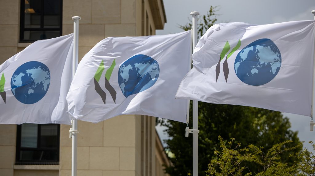 Realiza una pasantía en la OECD